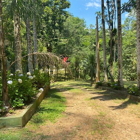 Chalé em meio à natureza! Guabiruba Esterno foto