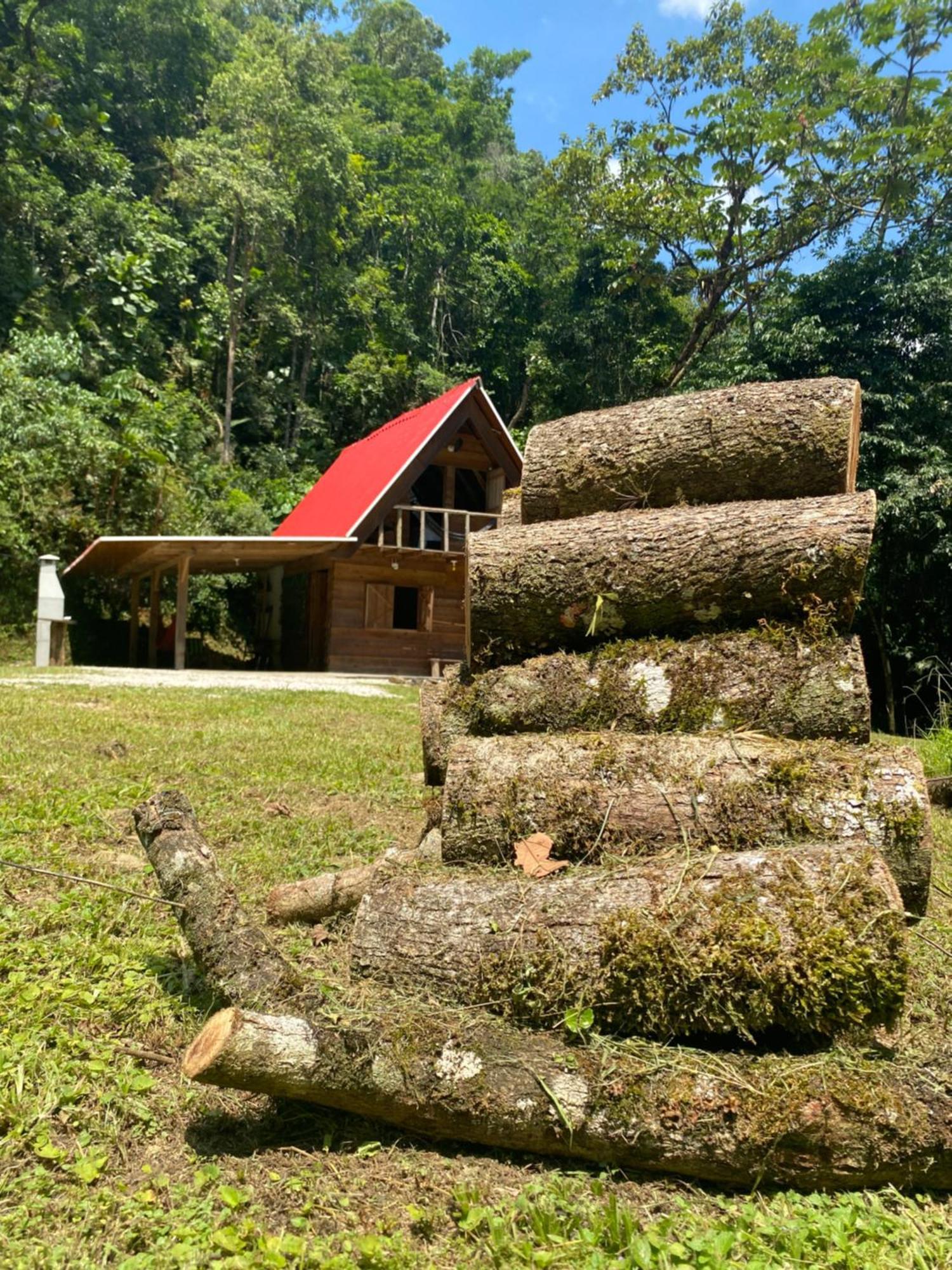 Chalé em meio à natureza! Guabiruba Esterno foto