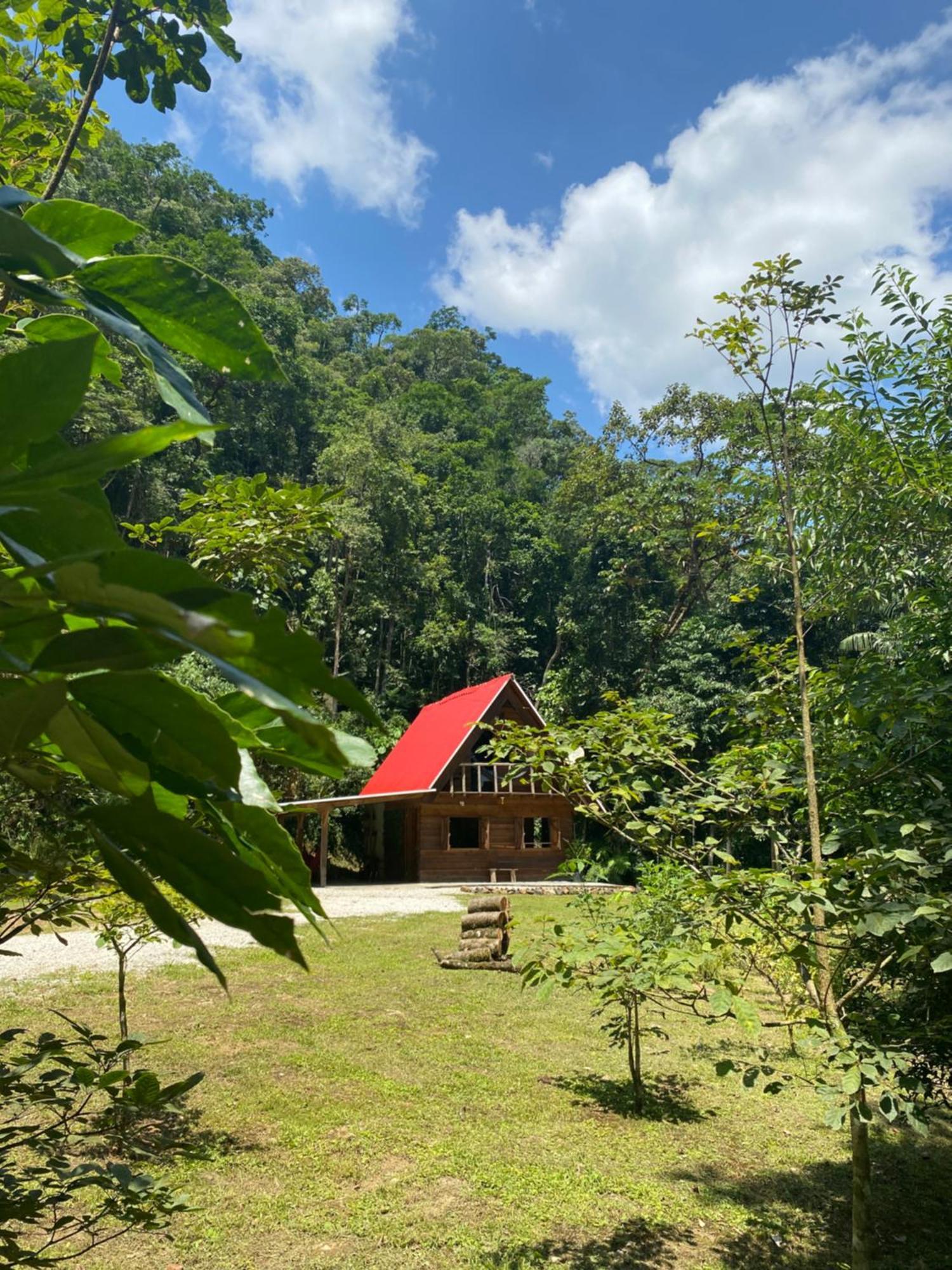 Chalé em meio à natureza! Guabiruba Esterno foto