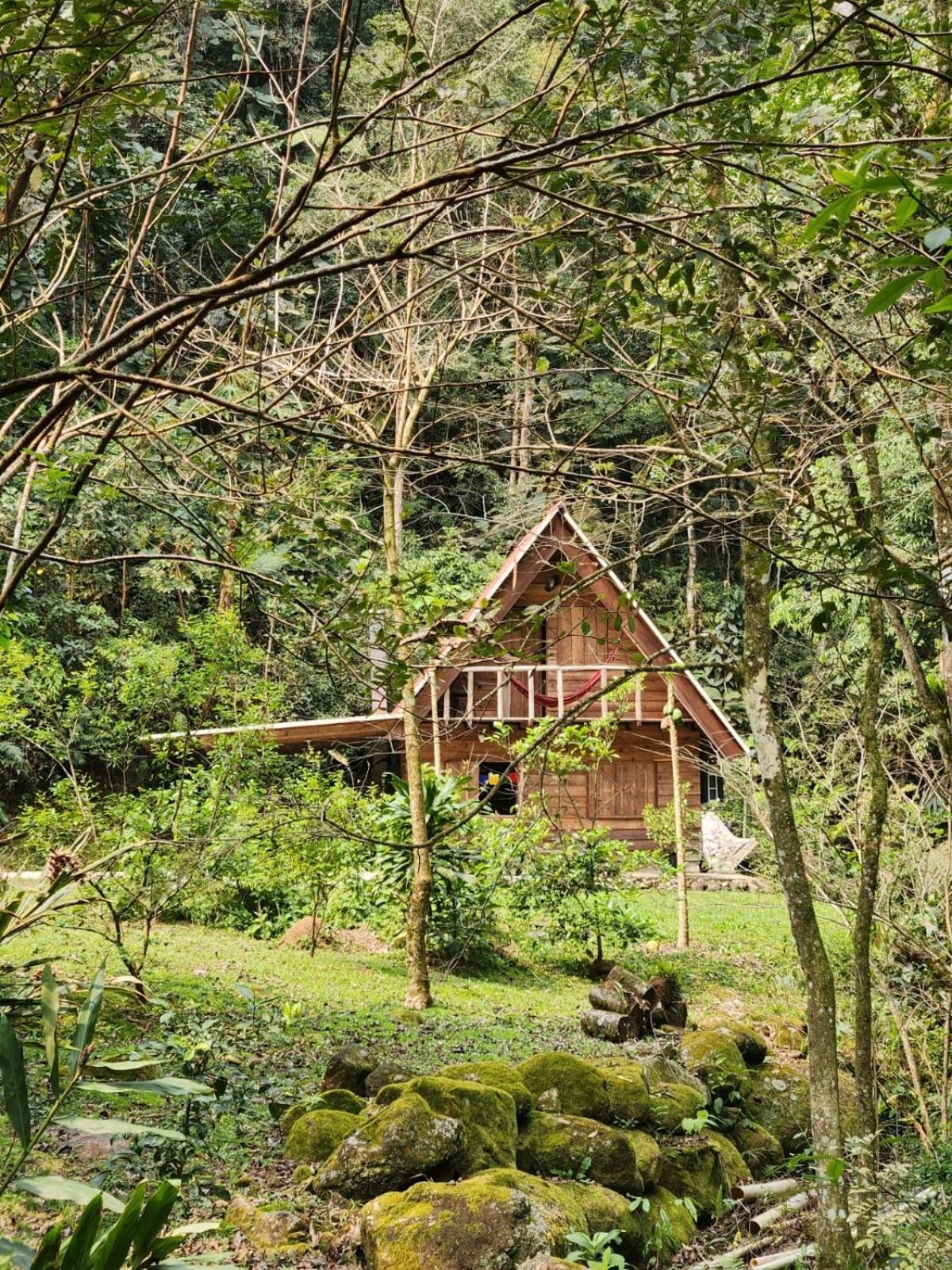 Chalé em meio à natureza! Guabiruba Esterno foto